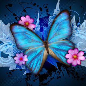 Meet your Posher, Reese